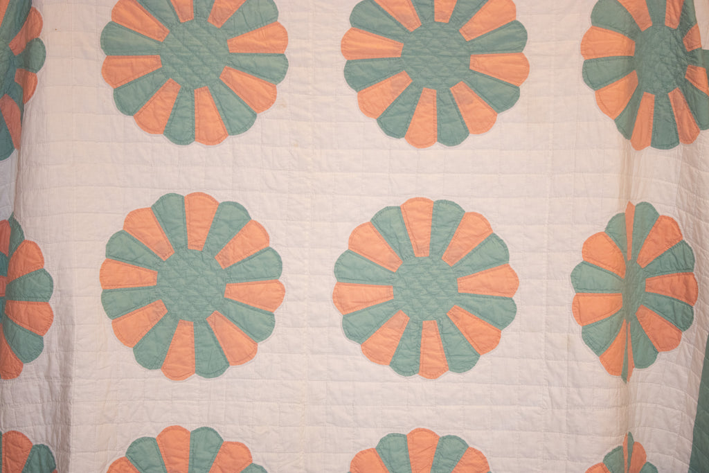 Seafoam Daisy
