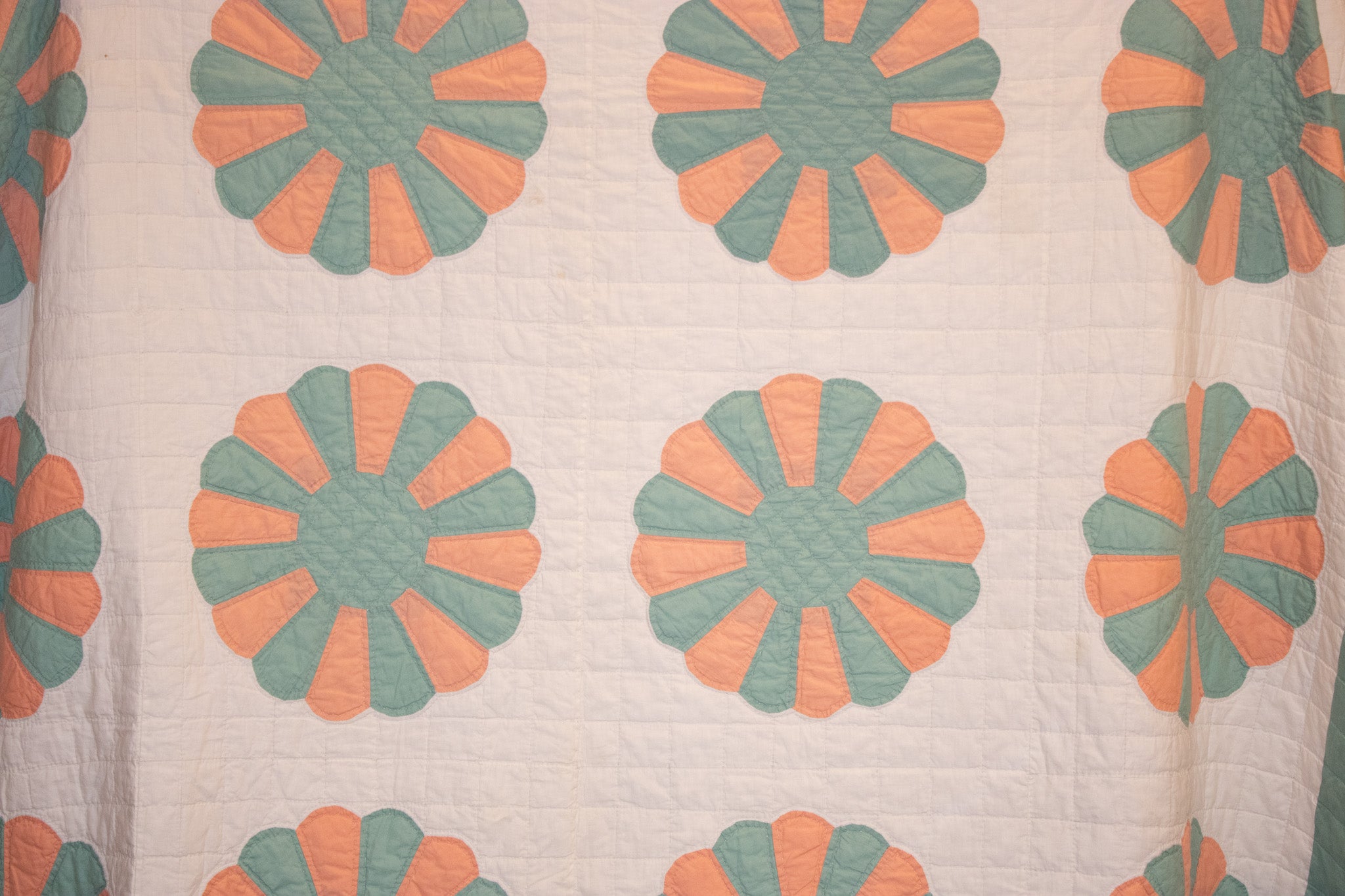 Seafoam Daisy