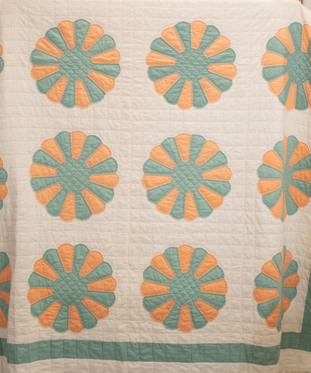 Seafoam Daisy