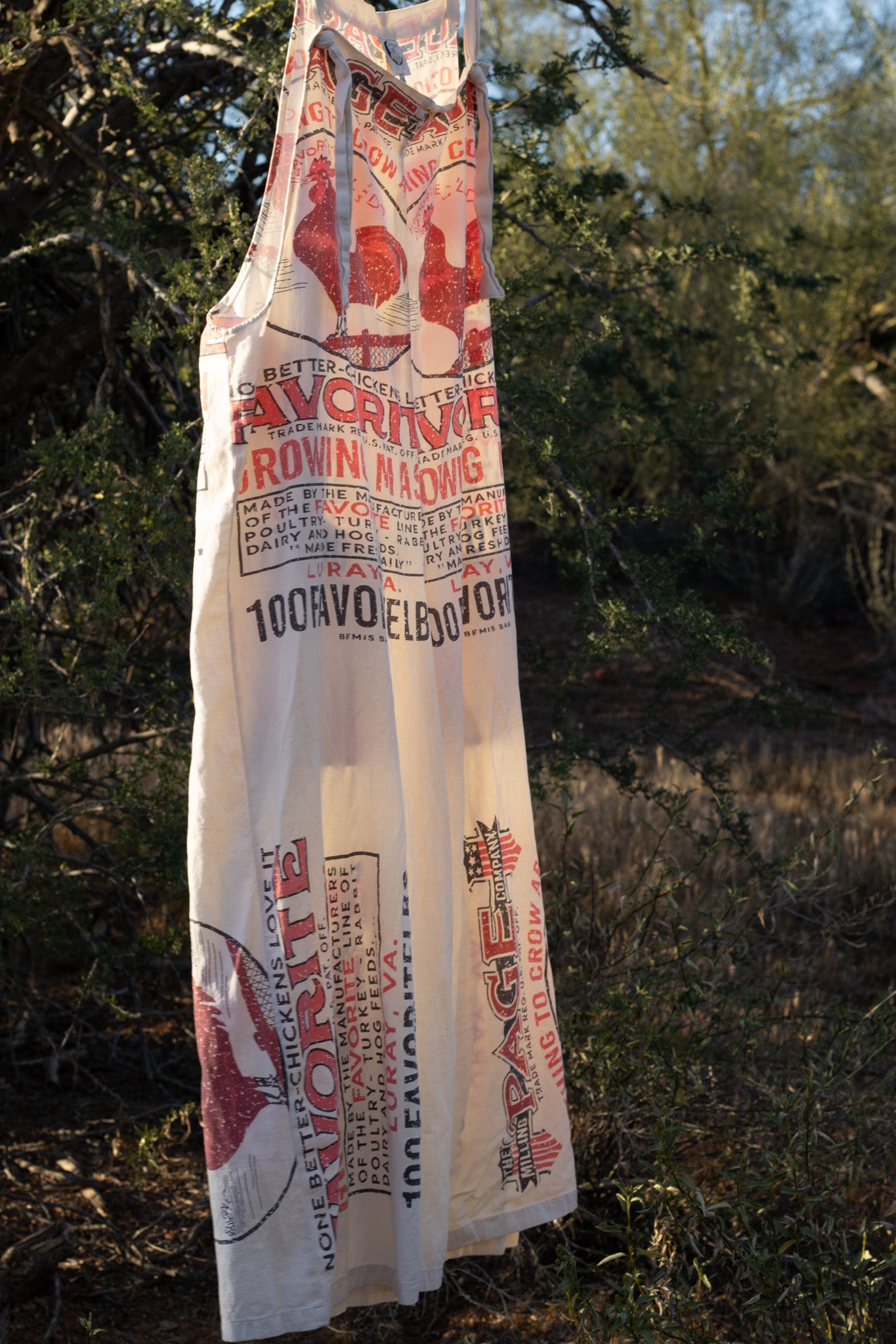 Market Fresh Overalls - Early Morning