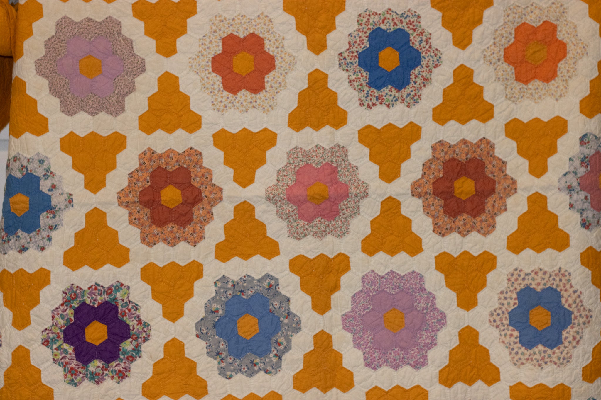 Orange Flower Patch