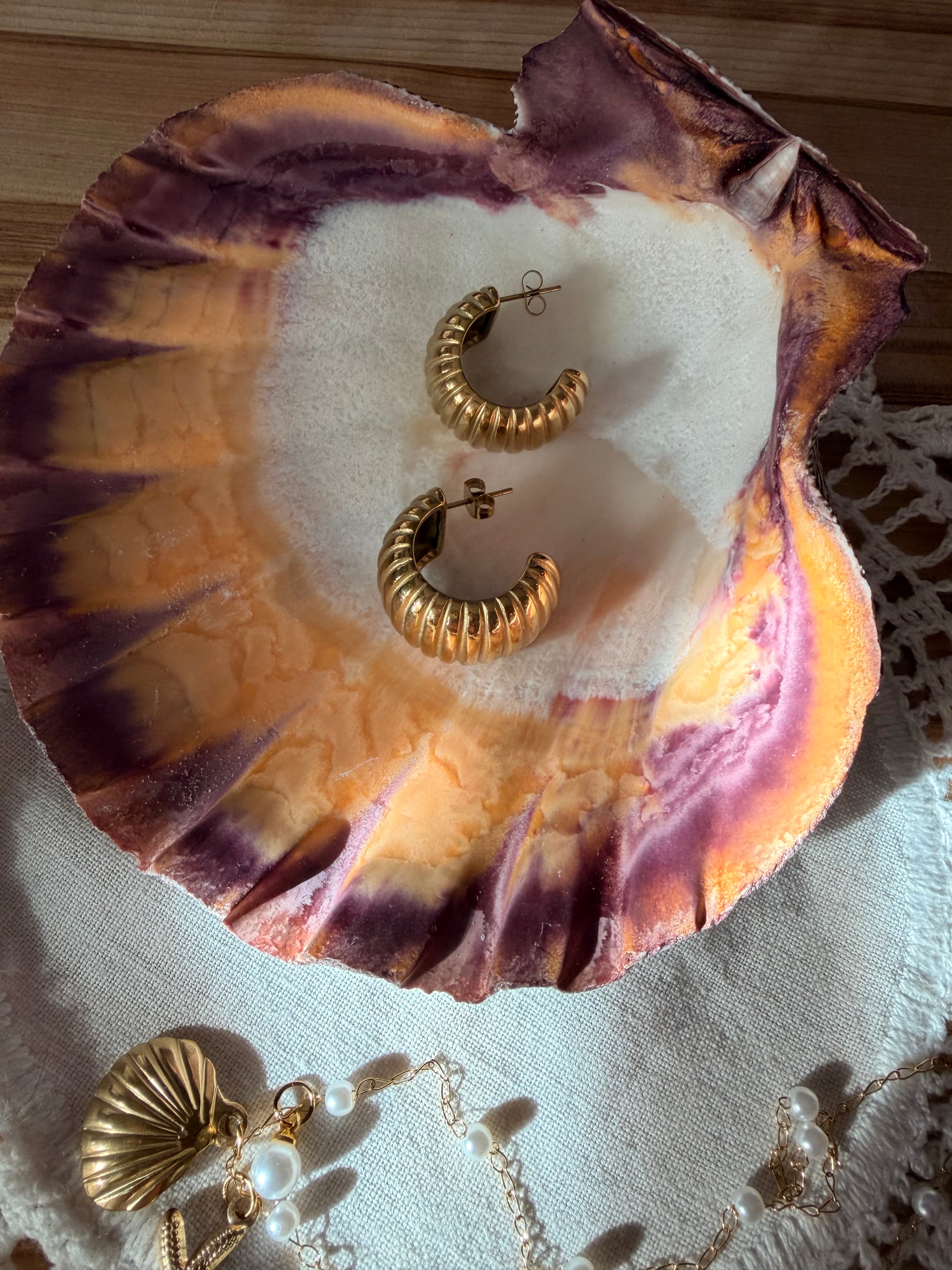 18K Gold Plated Waterproof Stainless Steel Hoop Earrings