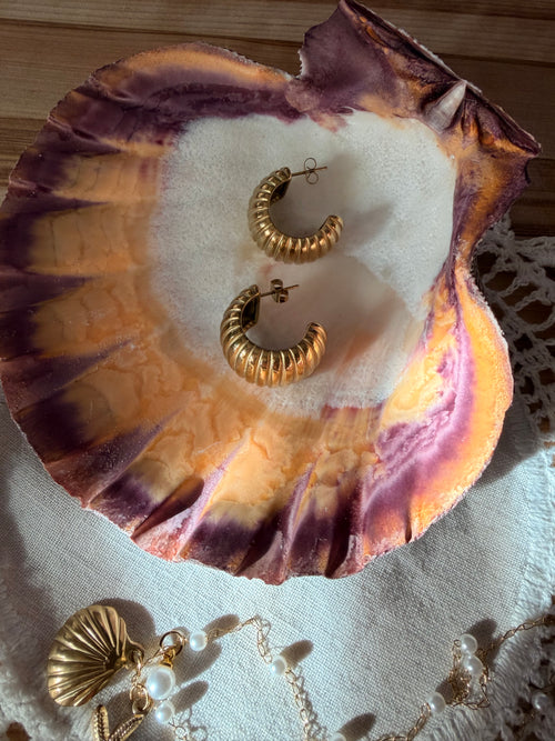 18K Gold Plated Waterproof Stainless Steel Hoop Earrings